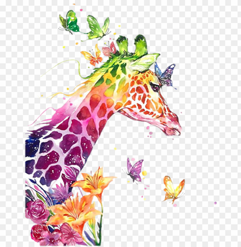 free PNG 50 best watercolor paintings from top artists around - giraffe painti PNG image with transparent background PNG images transparent