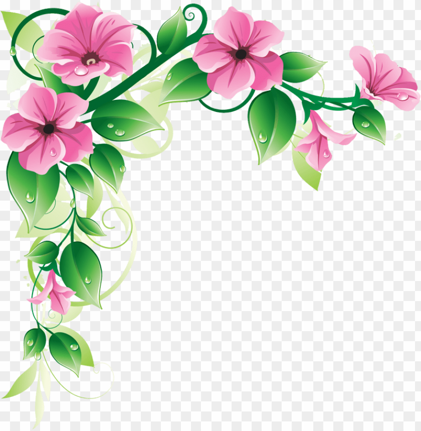 flowers, borders, high, quality, png