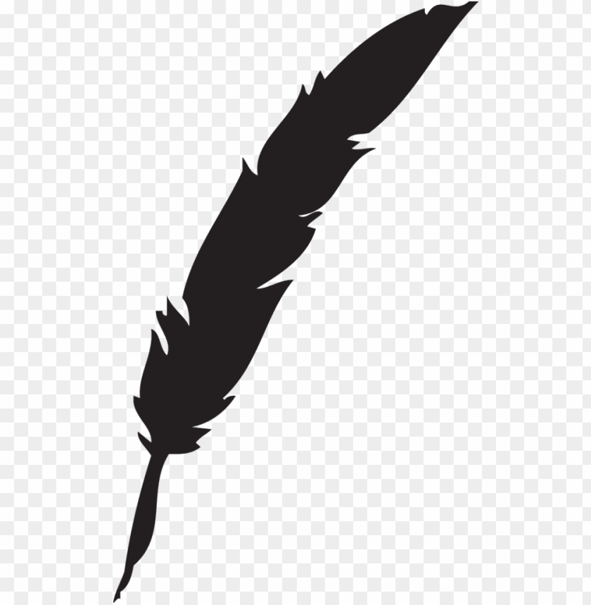 617 feather quill pen - feather quill pen PNG image with transparent background@toppng.com