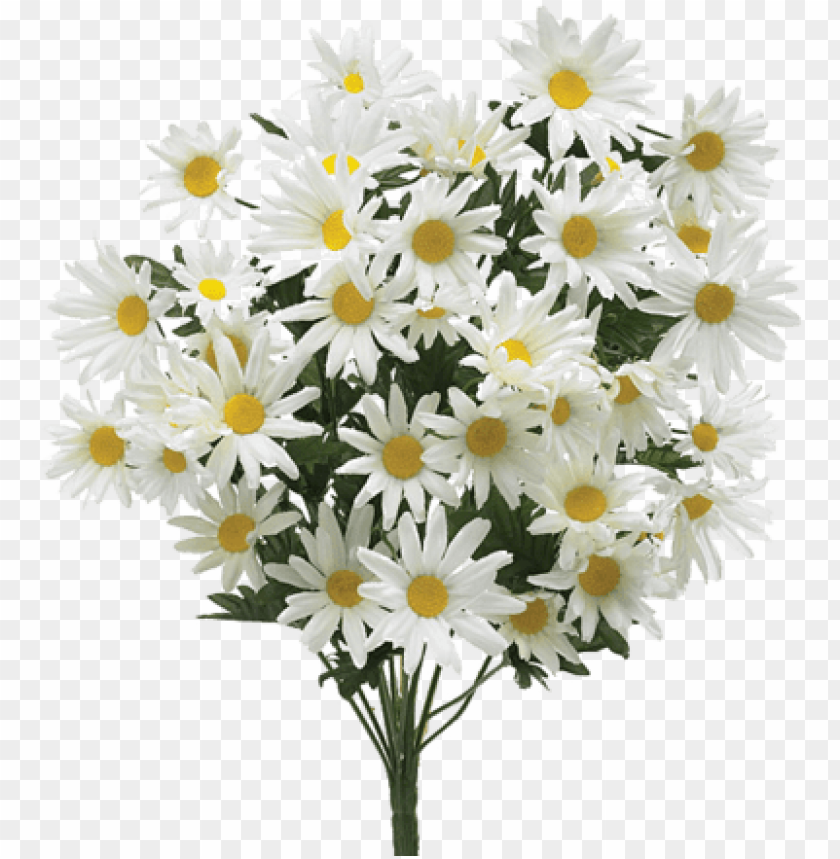 sympathy flowers png