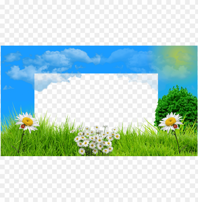 7 Molduras Primavera 2015 Com Fundo E - Camomile PNG Transparent Background