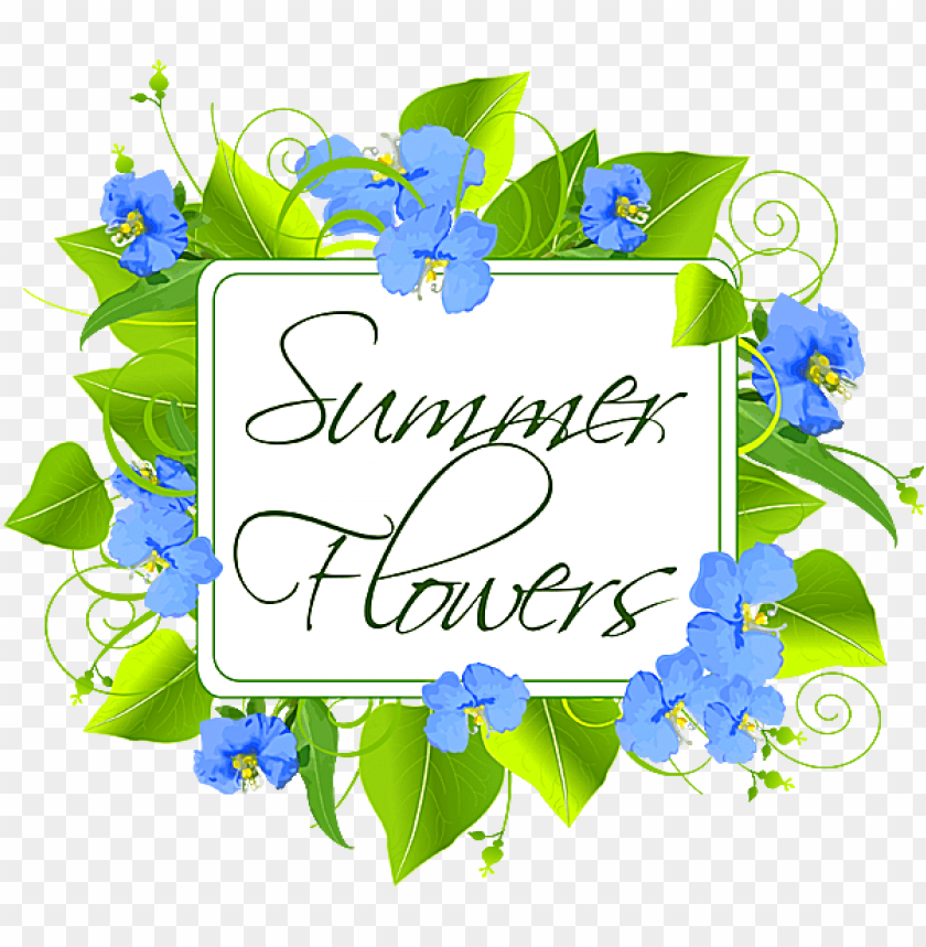 a bouquet of summer flowers- transparent blue mother's day, mother day