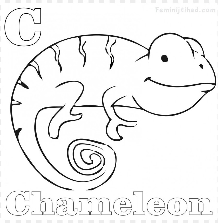 a color of his own chameleon coloring page, page,coloringpage,color,coloring,chameleon