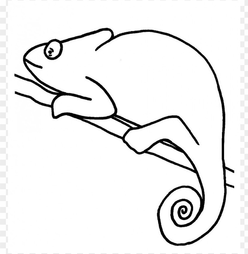 a color of his own chameleon coloring page, page,coloringpage,color,coloring,chameleon