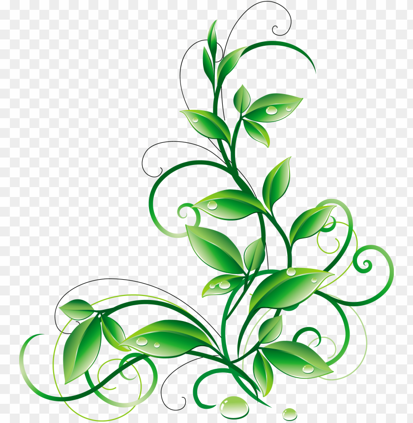 a orig png pinterest aorigpng - green color flower PNG image with  transparent background | TOPpng