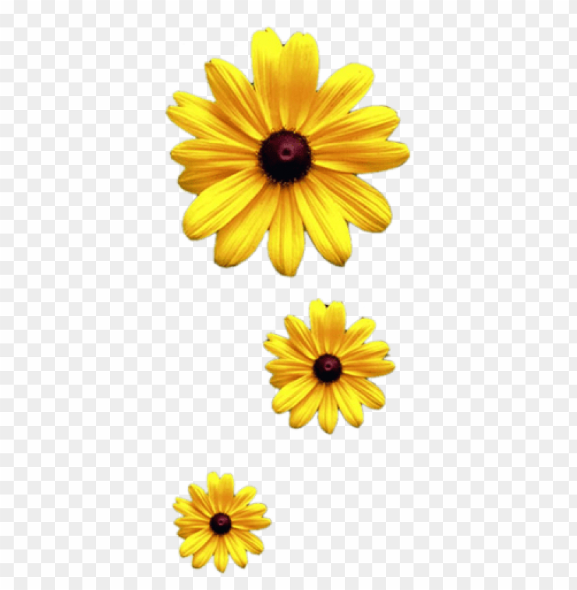 About 3600 Free Commercial Noncommercial Clipart Sunflower