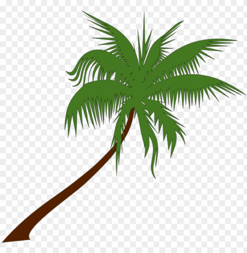 leaf, banner, palm tree, logo, paper, frame, tree