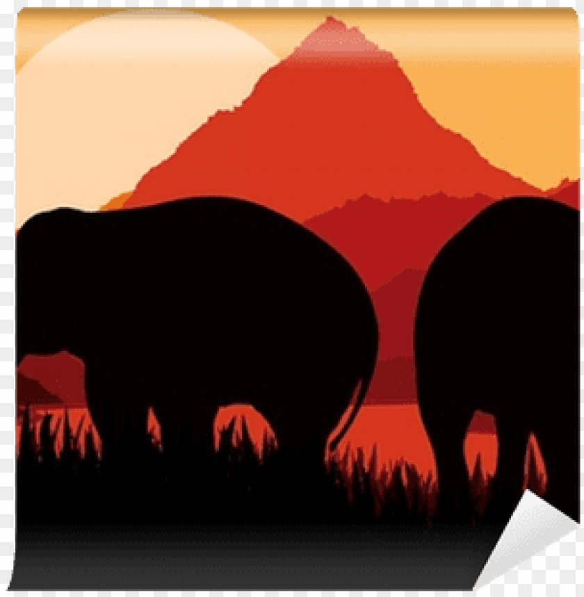 african elephant PNG transparent with Clear Background ID 92750