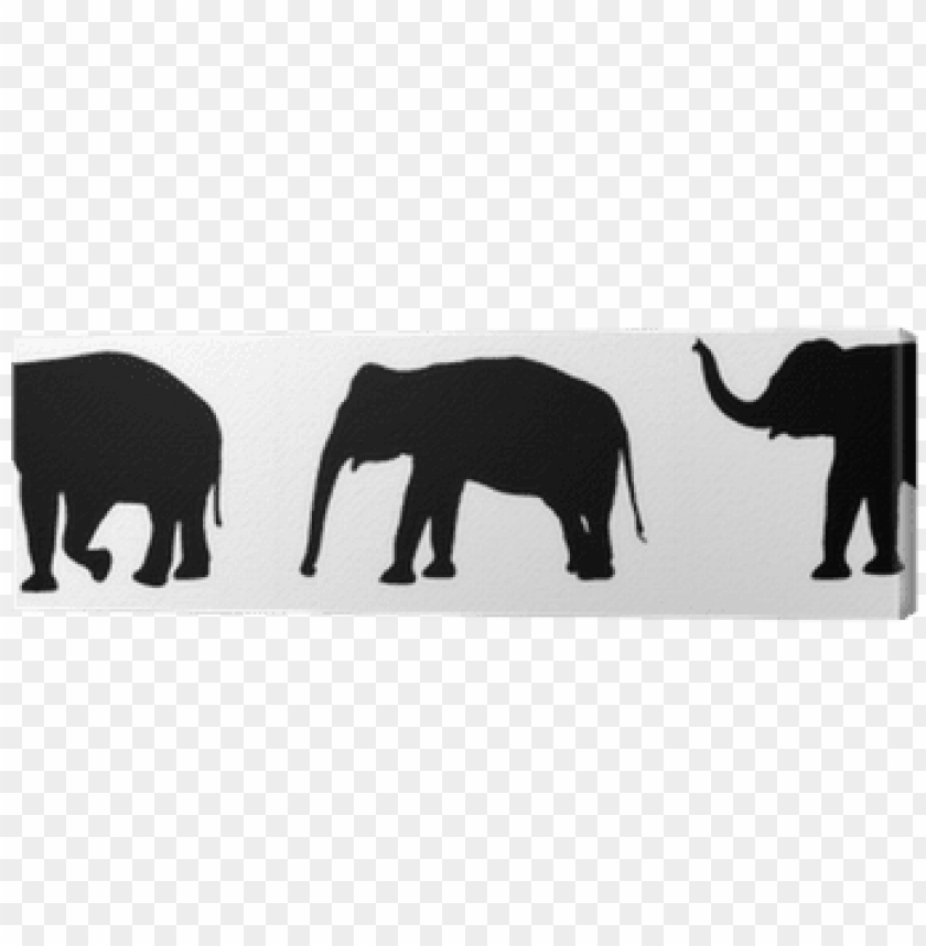 african people, african american, elephant, african, elephant silhouette, baby elephant
