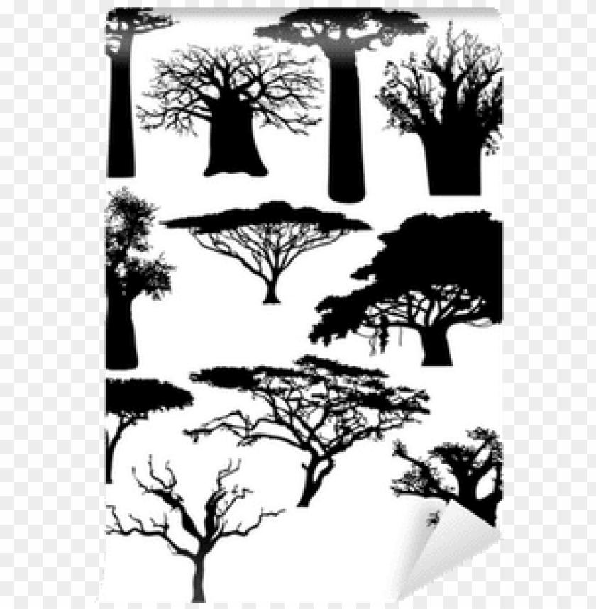 forest trees, african people, african american, trees silhouette, african, trees