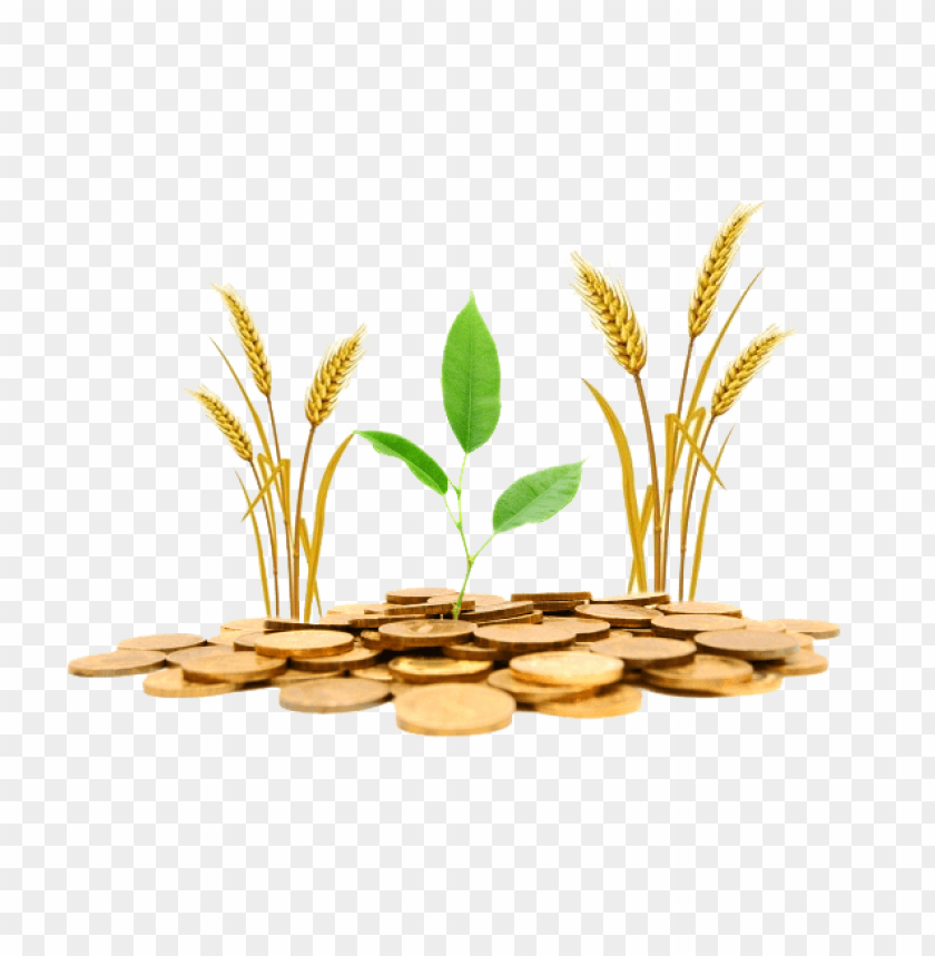 Download agriculture png png images background | TOPpng