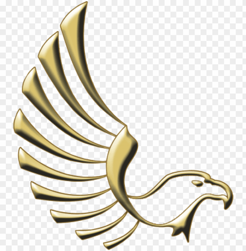 Aguila 2 Copia Cabeza De Aguila PNG Image With Transparent Background |  TOPpng
