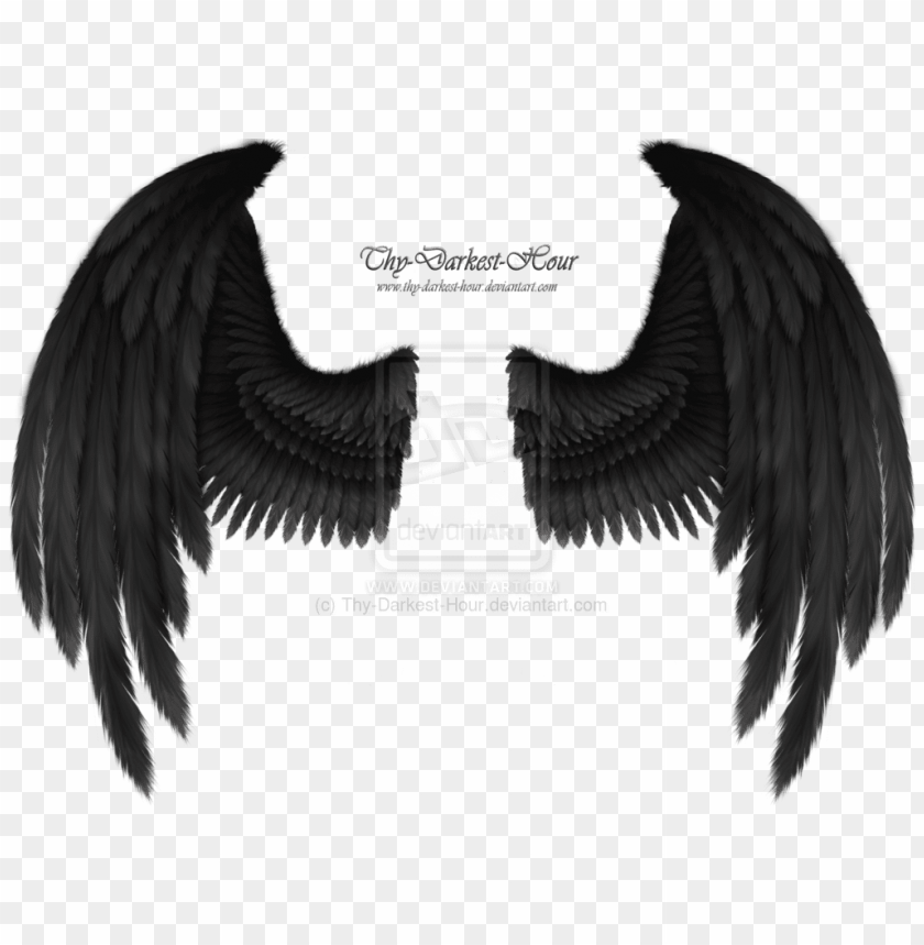 Devil Wings Png - Black Demon Wings PNG Image With Transparent Background