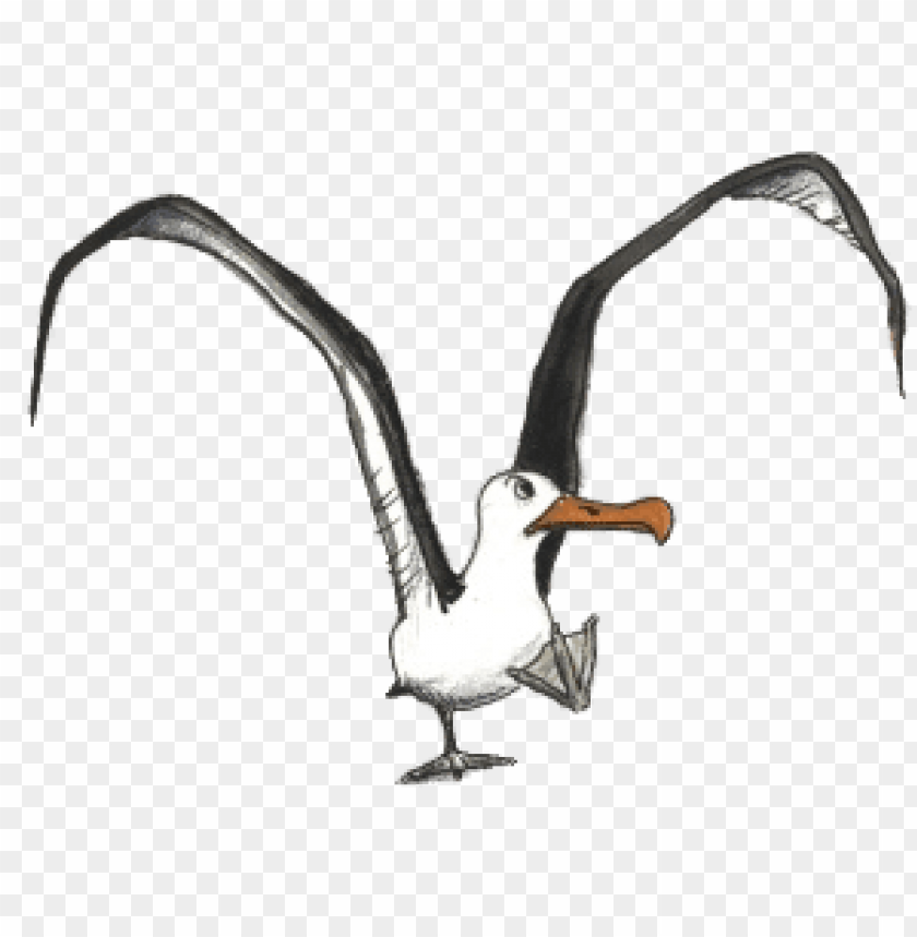 albatross drawing png images background - Image ID 65335