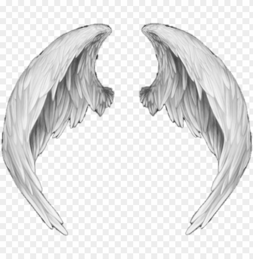 ali d angelo png anime angel wings PNG transparent with Clear Background ID 200057