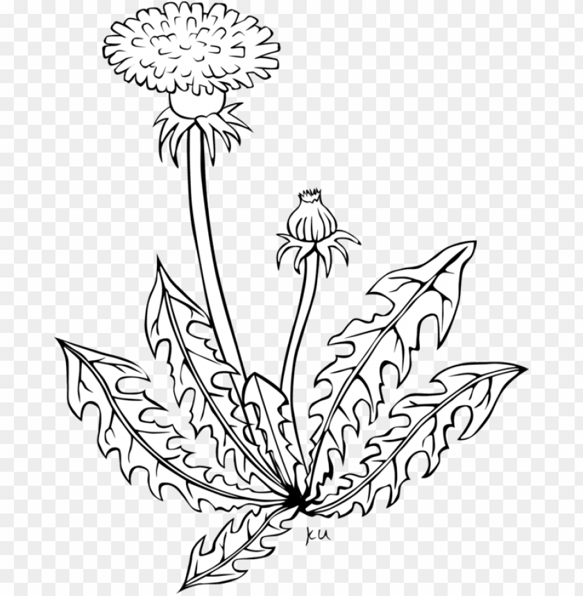 Garden Weed Clipart