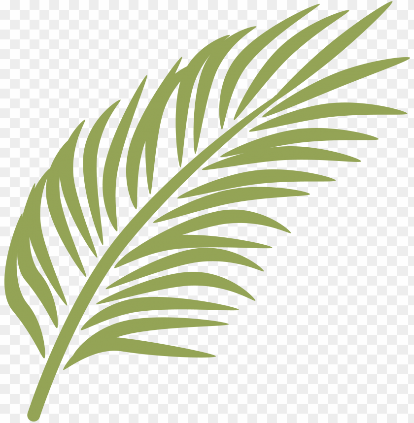 Alm Frond Png Palm Leaves Clip Art Png Image With Transparent