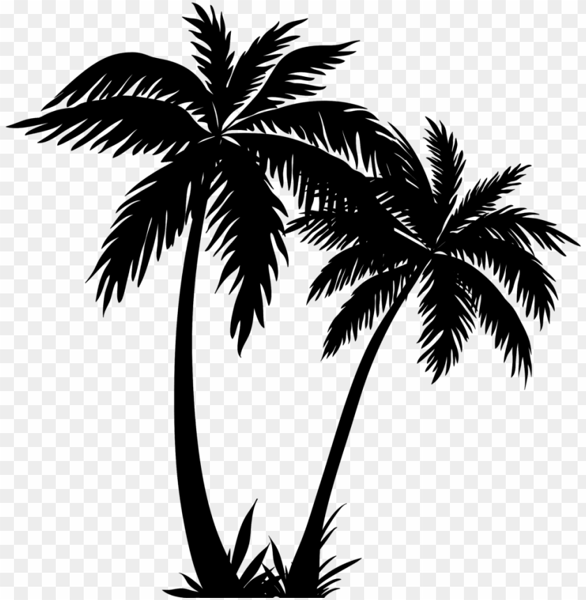 Alm Tree Clipart Palm Tree Line Art Png Image With Transparent Background Toppng