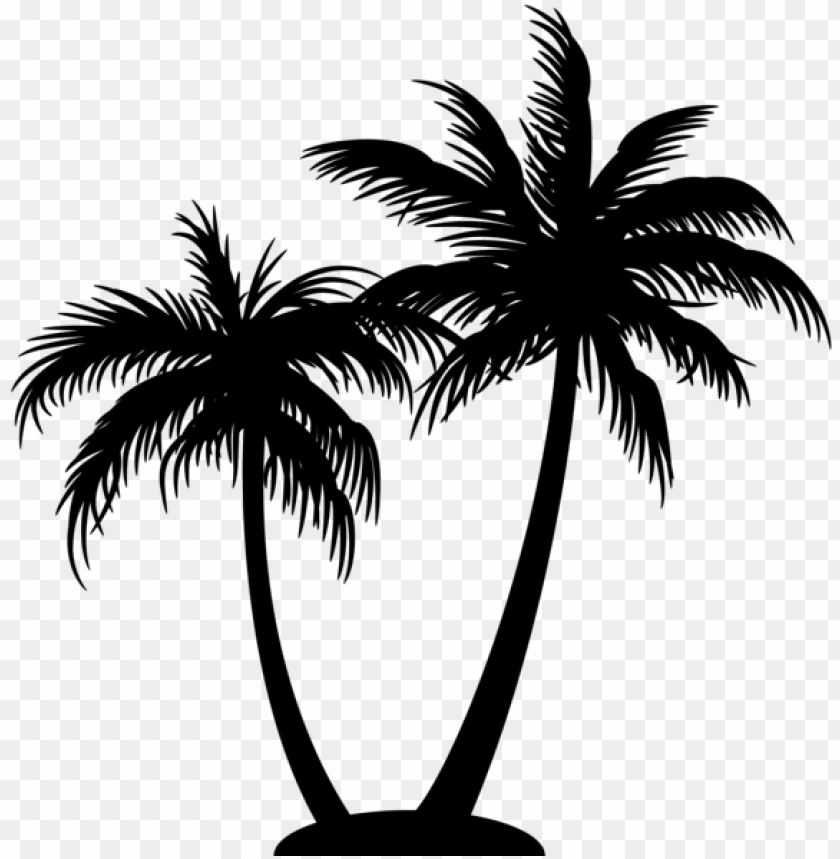 palm tree, male, summer, animal, pharmacy, people, coconut oil