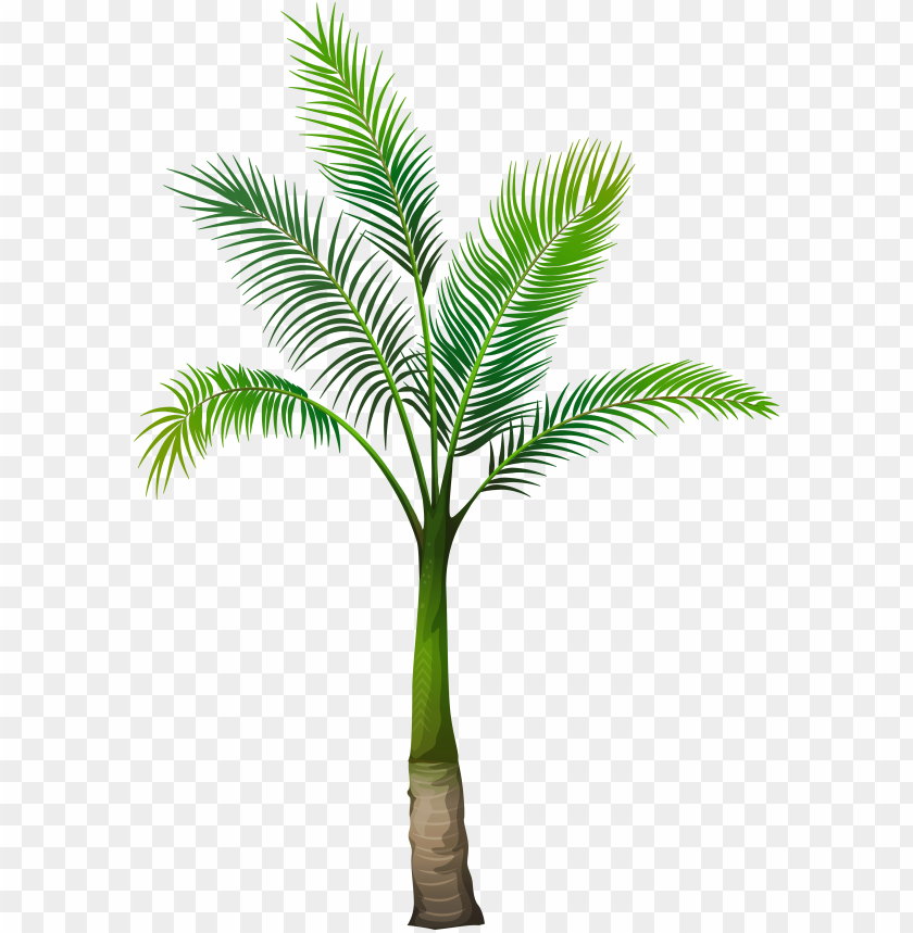 palm tree, texture, pattern, frame, trees, wallpaper, design