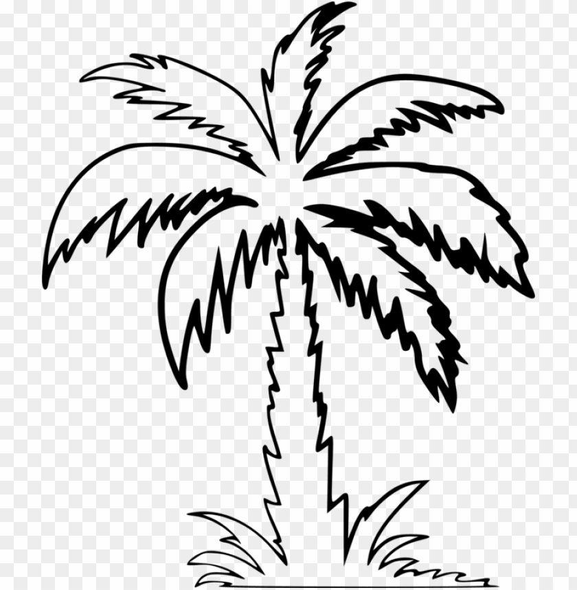 palm tree drawing outline