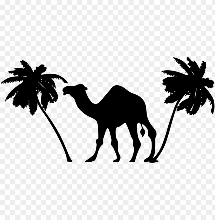 palm tree, food, zoo, graphic, west, retro clipart, camels