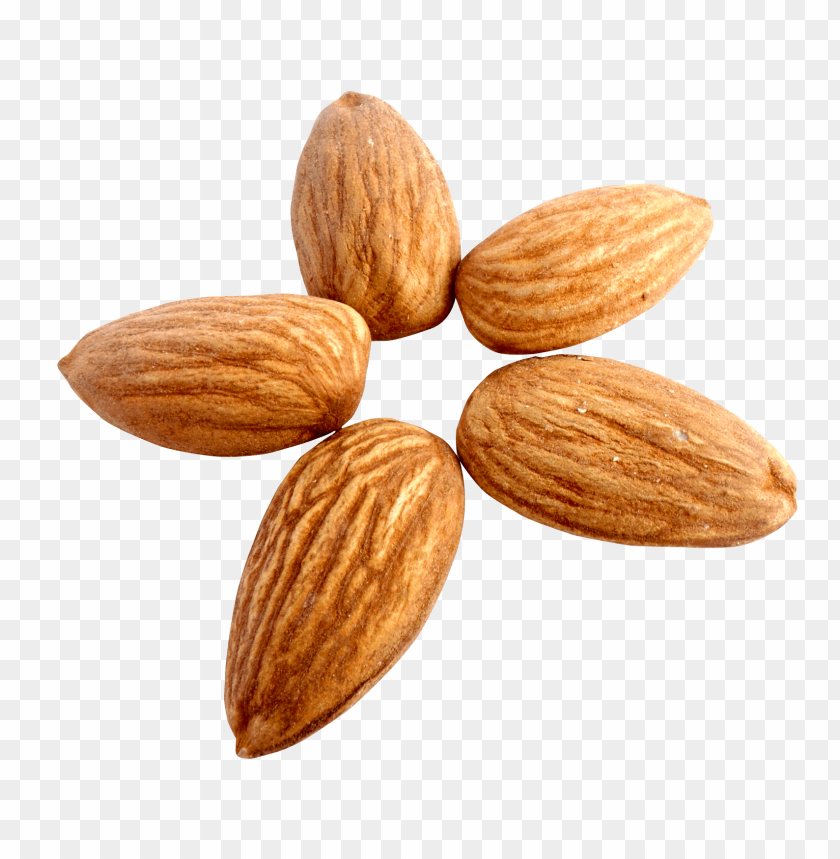 nut, fruit, almond