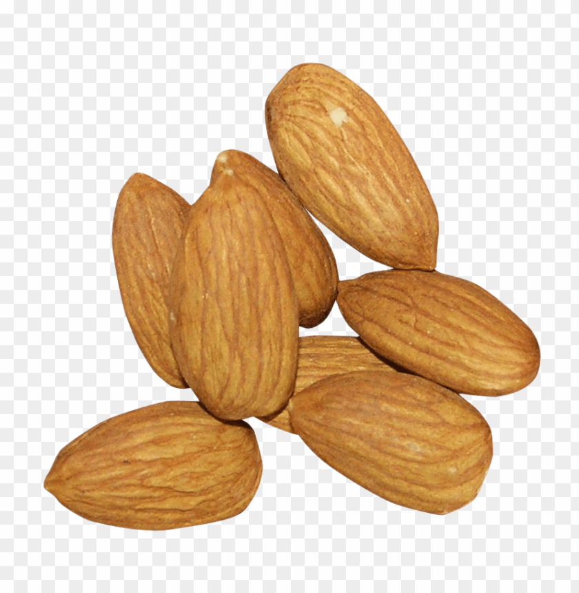 almond PNG images with transparent backgrounds - Image ID 11792
