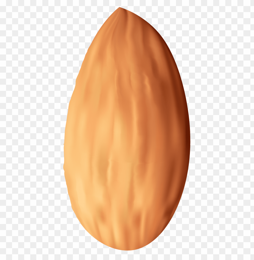 almond, nut