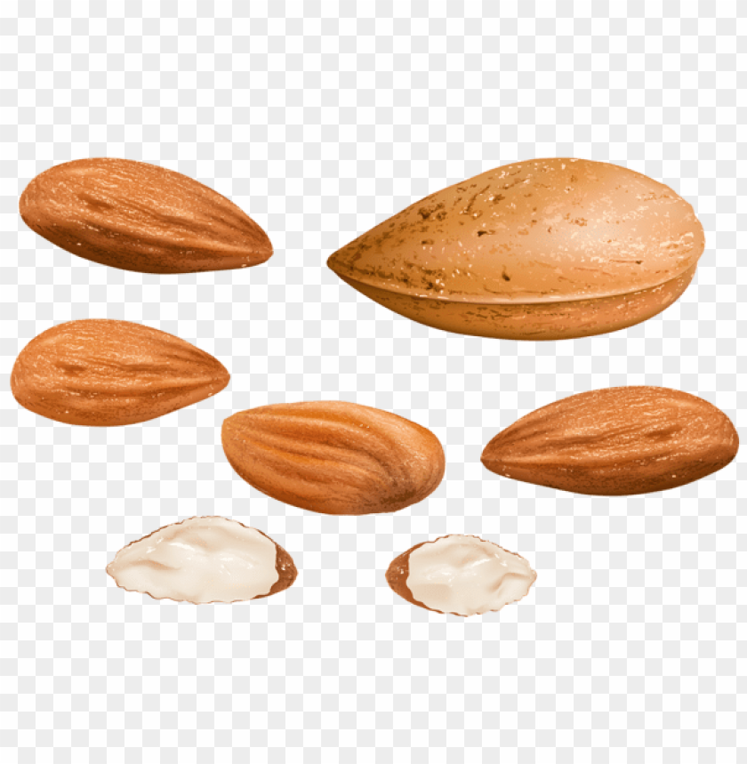 nuts 
