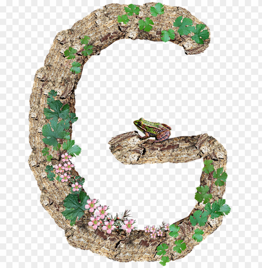 free PNG alphabet, letter, g, rustic, timber, bark - alphabet PNG image with transparent background PNG images transparent