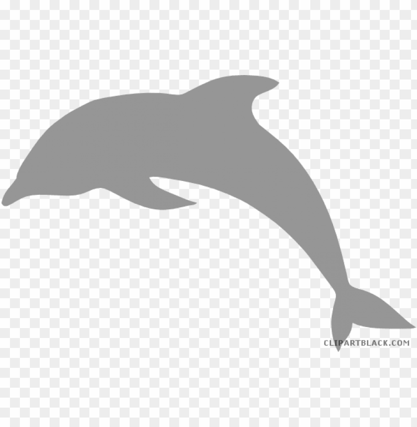 Featured image of post Transparent Background Dolphin Clipart Images Common bottlenose dolphin transparency and translucency clip