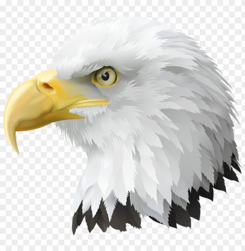 american eagle head transparent clipart png photo - 52643