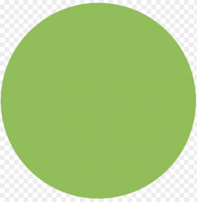 An Overview Of Key Aspects Light Green Color Circle PNG Transparent 