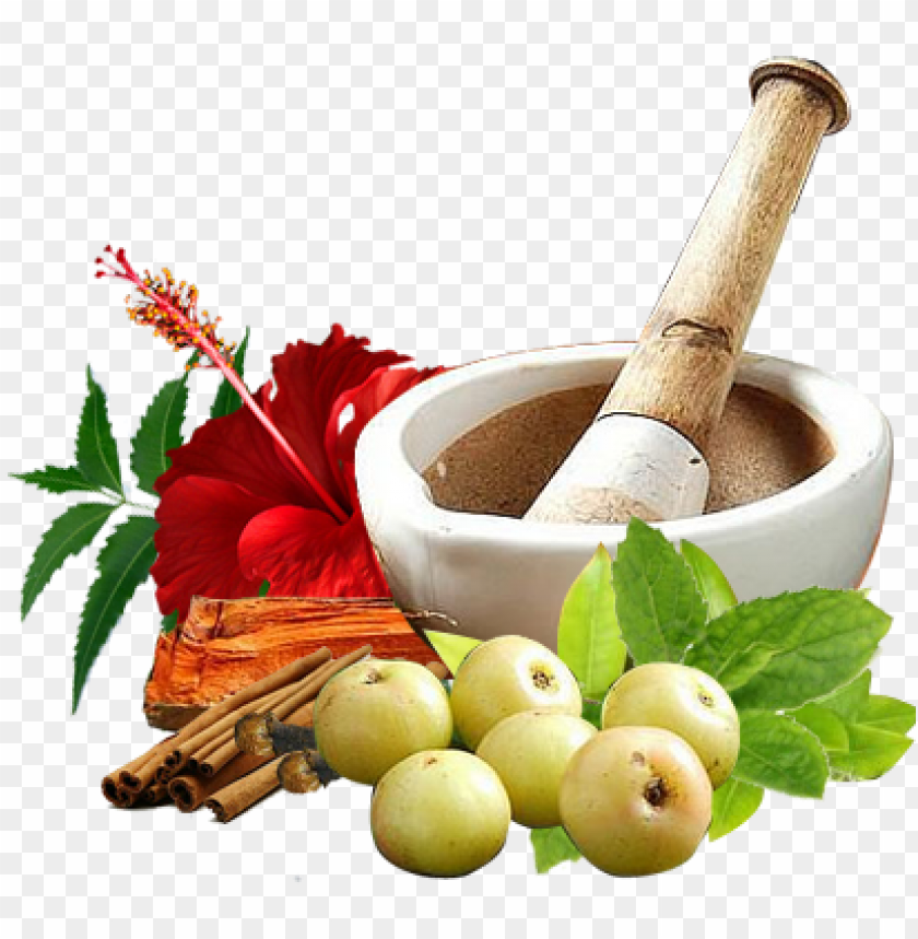 anchakarma - ayurvedic treatment of brain tumor PNG image with transparent  background | TOPpng
