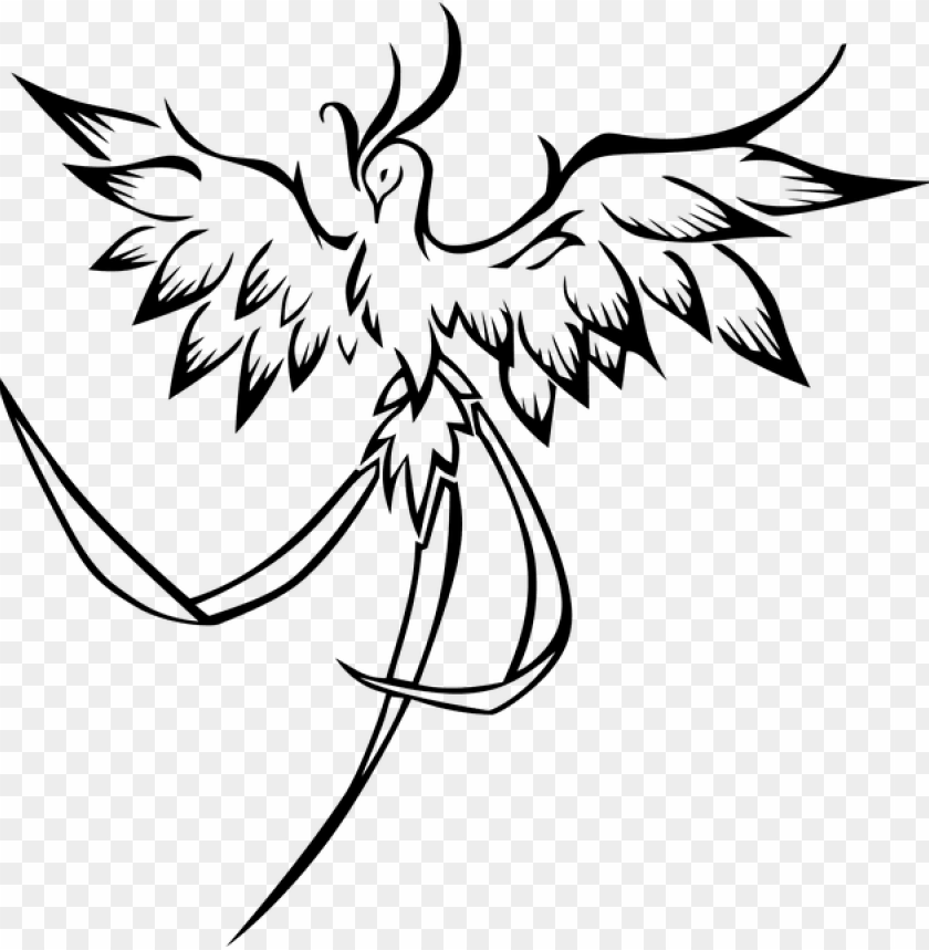 Ancient Symbolism Of The Magic Phoenix - Phoenix Bird Line Art PNG Transparent With Clear Background ID 228423