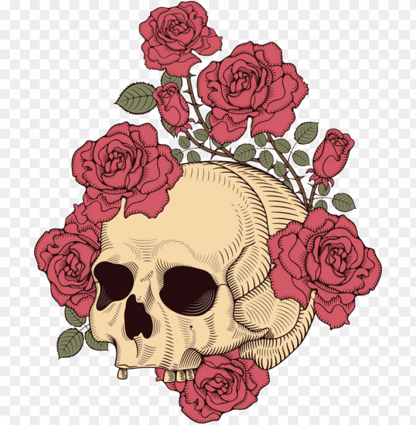 free PNG and skull rose illustration t-shirt design human clipart - skull and rose illustratio PNG image with transparent background PNG images transparent