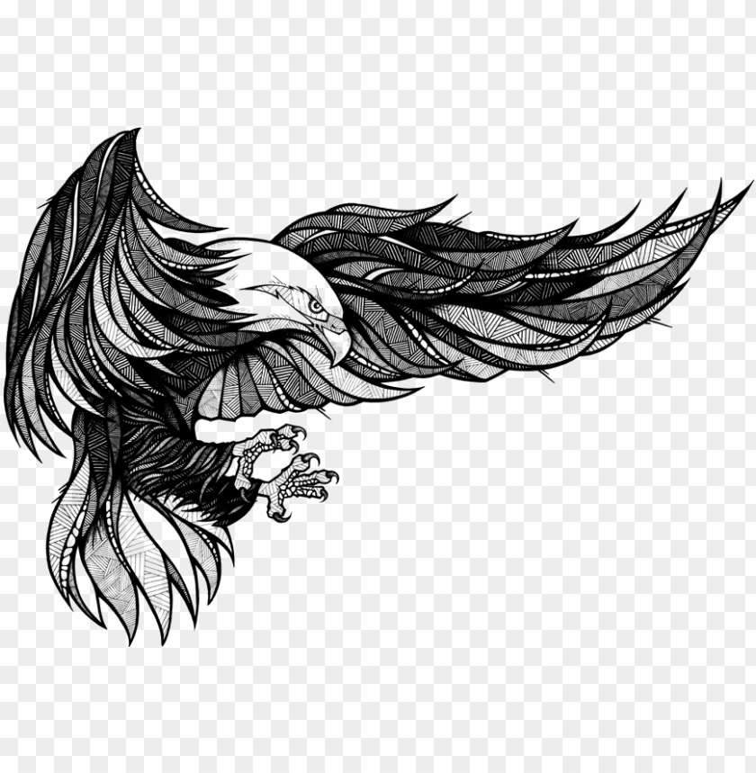 stock photo, bald eagle, american eagle, eagle globe and anchor, eagle silhouette, eagle