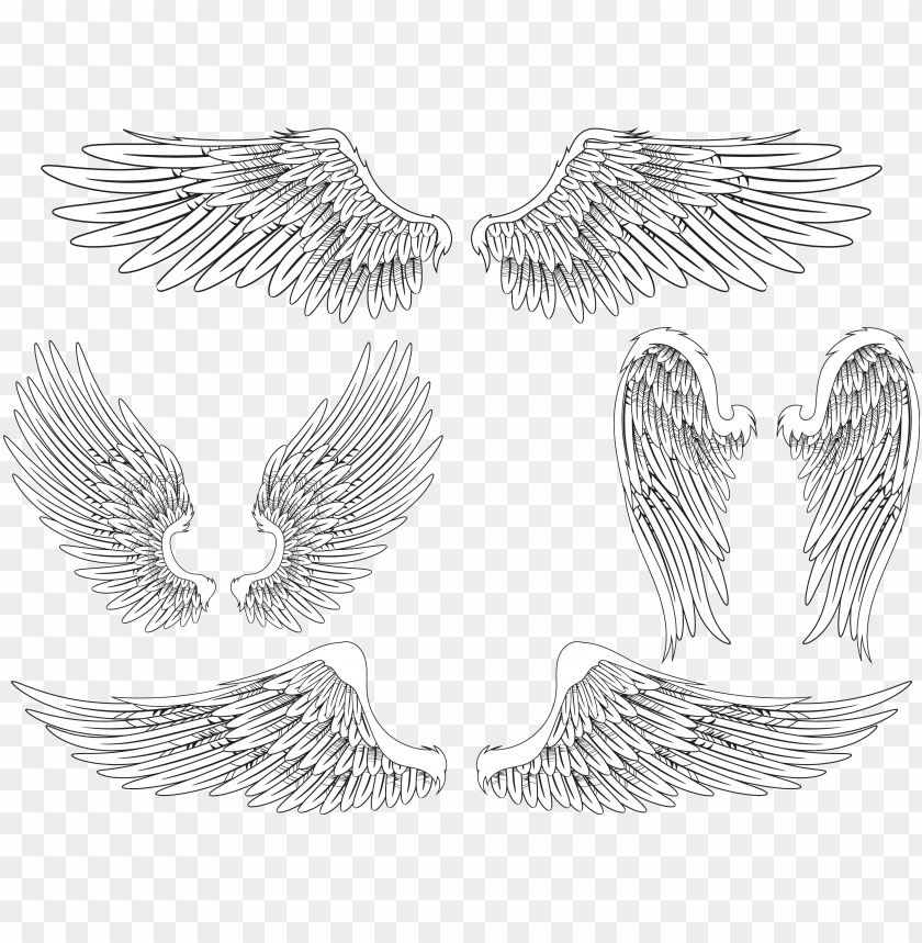 phoenix bird, twitter bird logo, wing, angel wings, angel halo, feather silhouette
