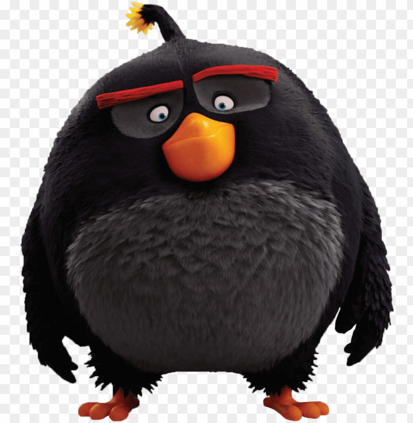 angry birds movie characters PNG image with transparent background@toppng.com