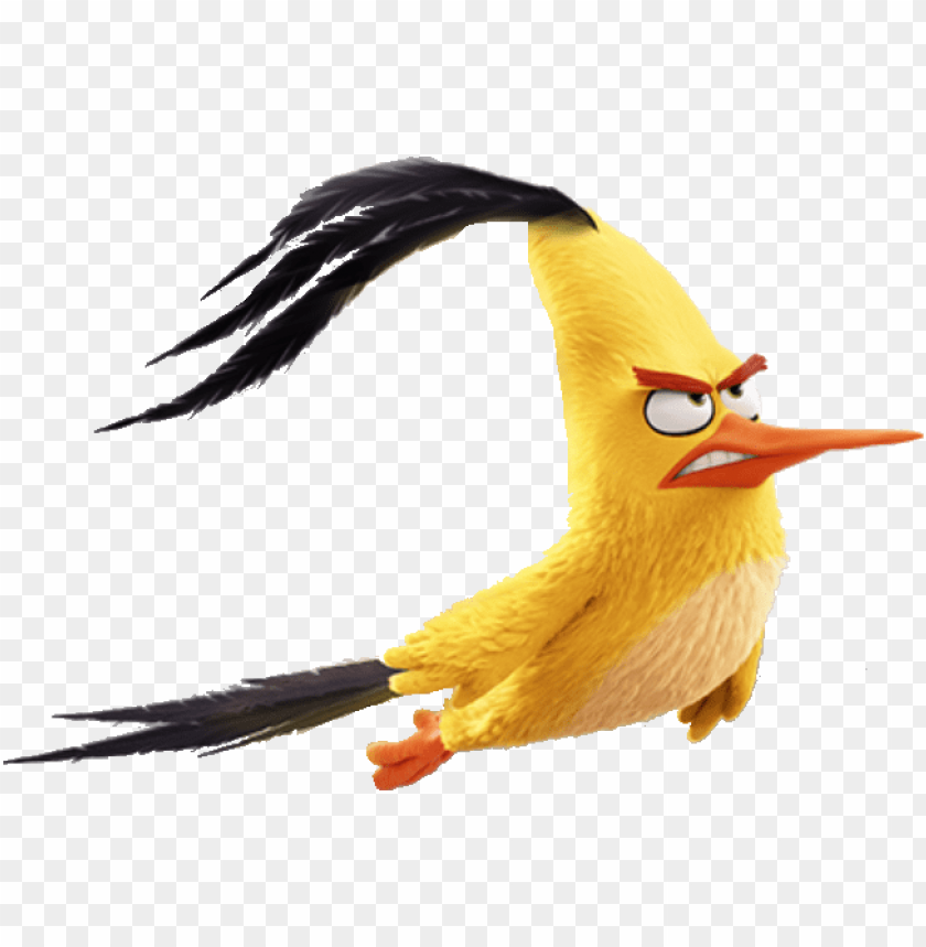 angry birds movie chuck flying PNG image with transparent background@toppng.com