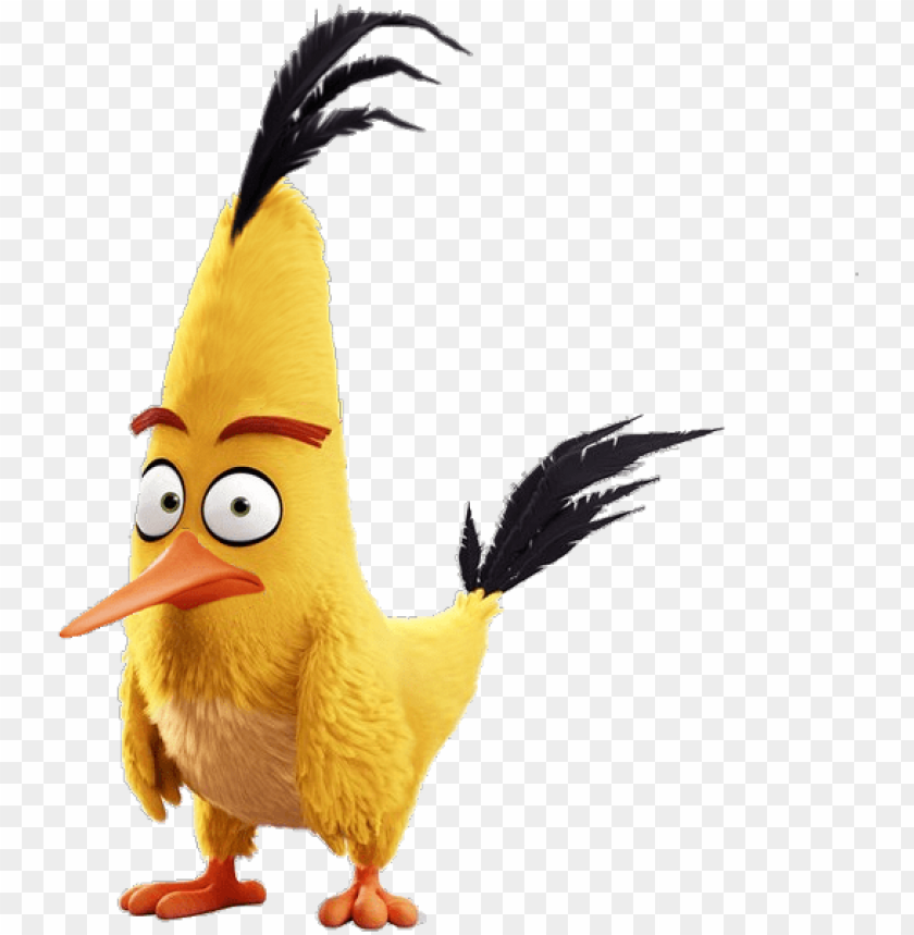 Angry Birds The Movie Chuck Angry Birds Film Chuck PNG Image With Transparent Background