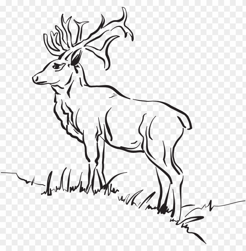 animals outline deer outline sketch PNG image with transparent background |  TOPpng