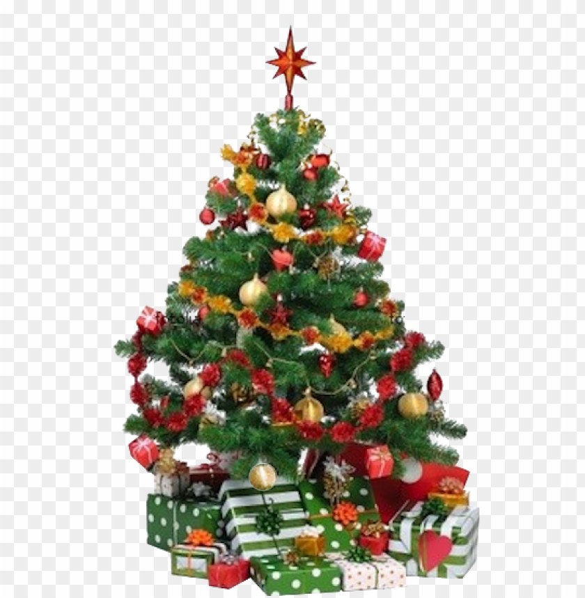 animated moving christmas tree PNG transparent with Clear Background ID 74391