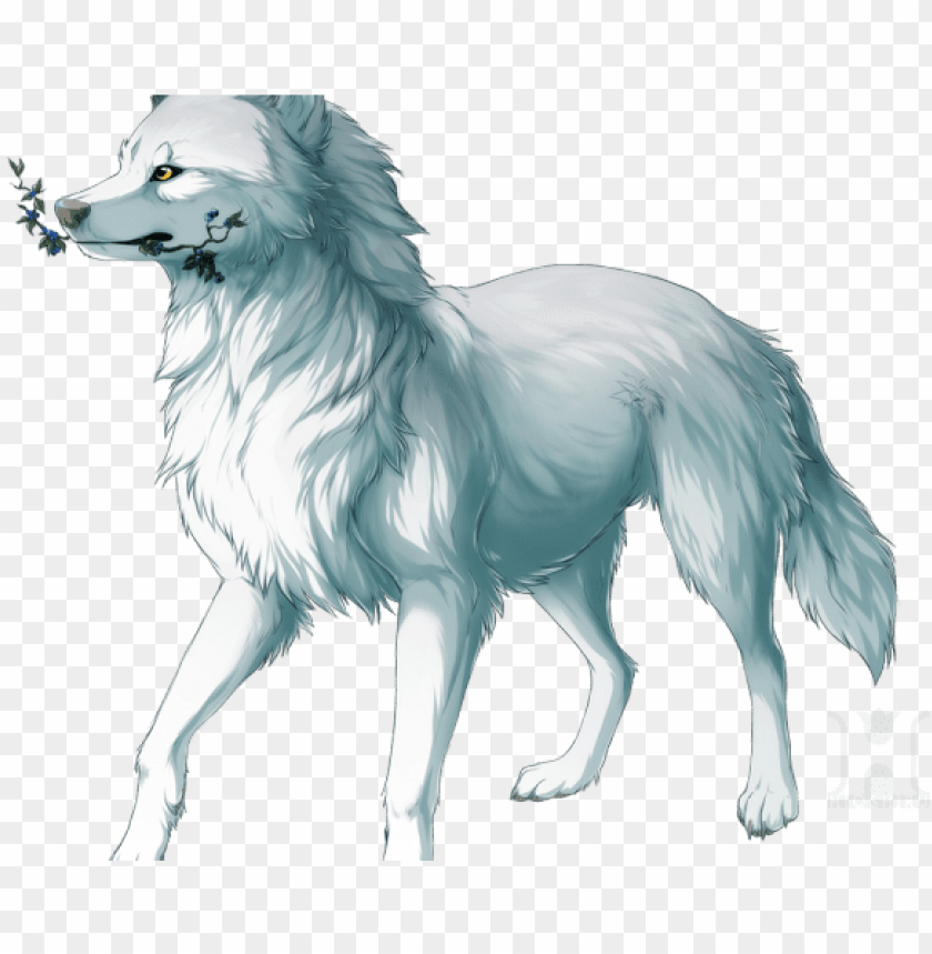 Anime Boy Clipart Wolf Wolf PNG Image With Transparent Background@toppng.com