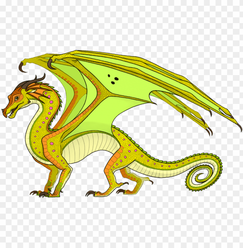 Animus Dragons Rainwing Dragon Wings Of Fire Png Image With Transparent Background Toppng