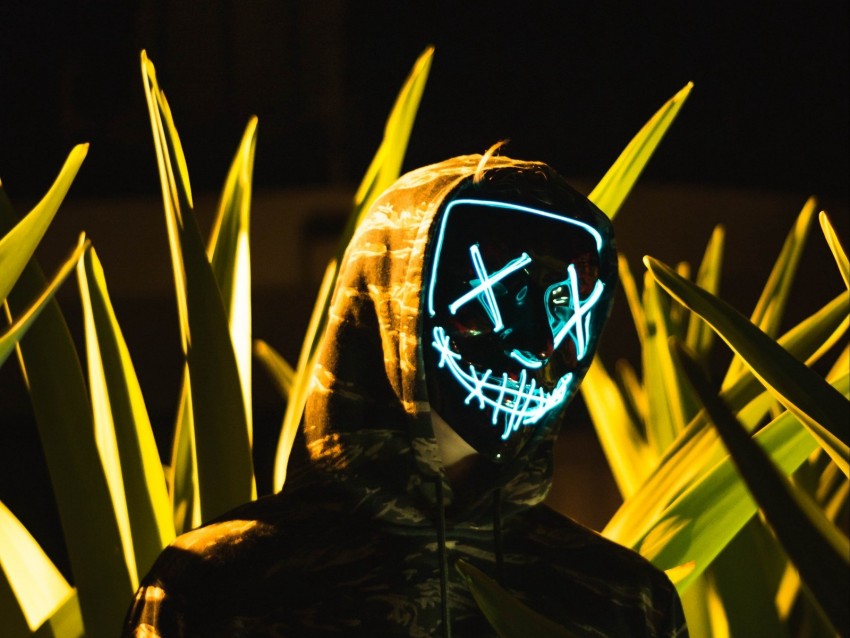anonymous, mask, hood, leaves, lights
