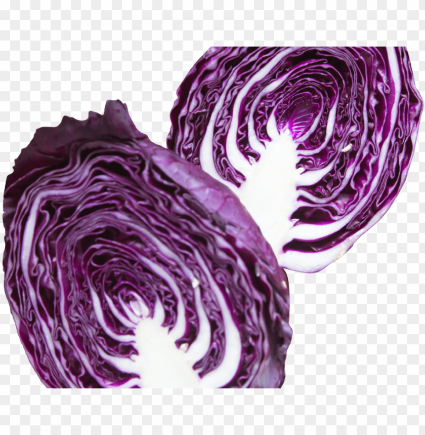free PNG apa cabbage purple png image - purple cabbage cabbage PNG image with transparent background PNG images transparent