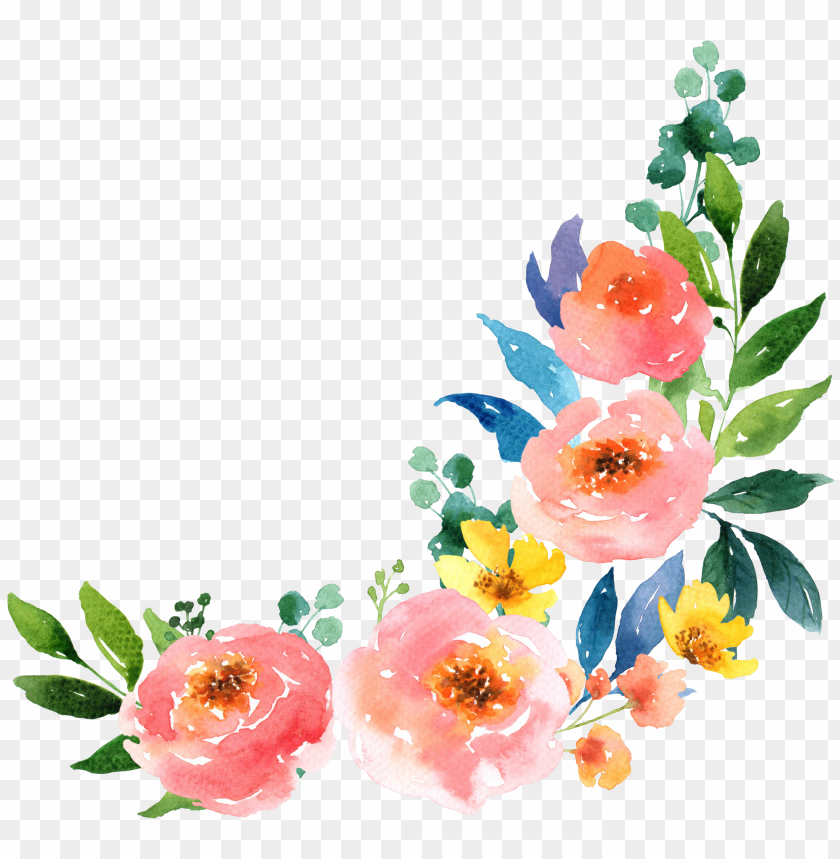 background, dirty, watercolor flower, splatter, flower, set, water color