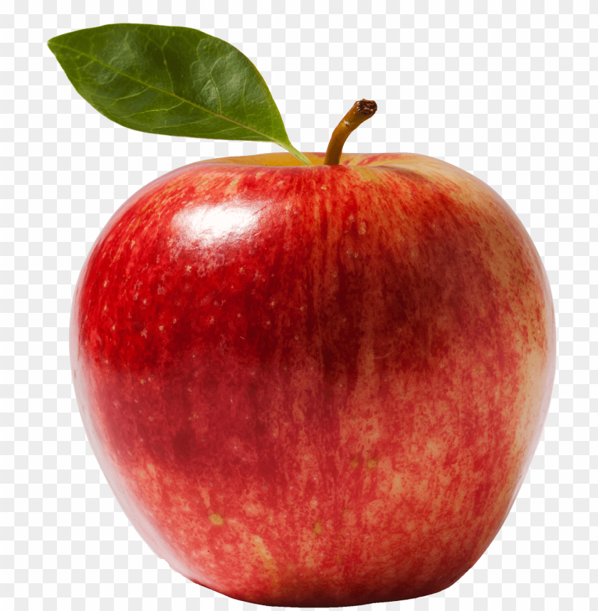 apple png - Free PNG Images ID 5658